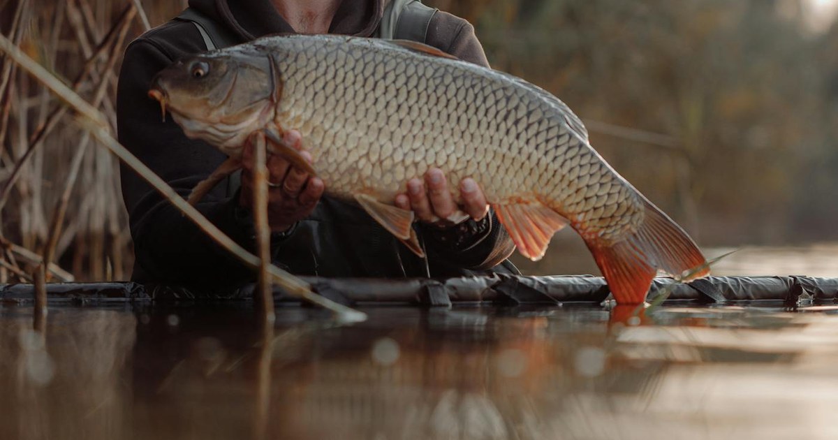 Carpista sosteniendo su licencia de pesca junto a un embalse español